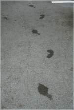 So zeigt sich ein Bahnsteig-Zugang, wenn er sich kaum 20 Meter vom Lac Lman (Genfer See) entfernt befindet...