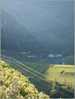 Oft fhrt die Bahn ein Schattendasein...
ASD Regionalzug nach Les Diablerets oberhalb von Aigle am 18. September 2011.