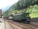 Mit Hilfe des Eloktrovorspannes der Ae 4/7 Nr. 10997 haben E 3/3 Nr.  2 der Oe.B.B. und Ed 3/4 Nr. 2 der Dampflokfreunde Langenthal den Bahnhof Wassen am 1.7.2007 erreicht.