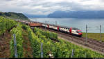 Bt (50 85 26-94 ??? CH-SBB) mit Schublok Re 460 ??? unterwegs östlich von Grandvaux (CH) am Genfersee (Lac Léman).

🧰 SBB
🚝 IR 2510 (IR 15) Fribourg/Freiburg (CH)–Genève-Aéroport (CH)
🚩 Bahnstrecke Lausanne–Bern (250)
🕓 4.8.2020 | 9:10 Uhr