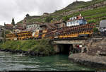 Blick auf zwei Matisa Weichentransportwagen, die in einem gemischten Güterzug mit Re 6/6 11634 (620 034-9)  Aarburg-Oftringen  eingereiht sind und vorbei am Plage de la Lisette in Saint-Saphorin