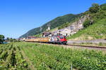 Die Re 420 251   175 Jahre Schweizer Bahnen  bei der Durchfahrt im Winzerdorf Ligerz am Bielersee Richtung Olten. Start ihres Zuges ist Daillens und Ziel Gossau SG.