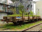 ex SBB - Ausrangierter Offener Güterwagen vom Typ Ks mit Grüner Ladung auf einem Rest Industrie Geleise in Basel Dreispitz Bild vom 10.04.2026