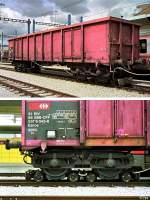 Eanos auf Rollbcken in Bulle (13.