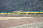 Hier sind am fr�hen Morgen des 15.08.2026 in der ausgetrockneten Landschaft bei den grossen Kiesgruben in der N�he von Weiach Containertragwagen abgestellt. Diese Container dienen meist zum Transport von Abruch- und Aushubmaterial. 
Hier wird Kies g ...
