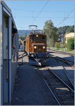 50 Jahre Blonay Chamby - MEGA BERNINA FESTIVAL: Erinnert an alte Zeiten: Ein Güterzug wartet in einem Unterwegsbahnhof eine Kreuzung gab und der rasch gezückte Fotoapparat ermöglicht