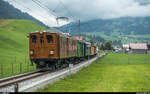 Bündnertag im Saanenland am 14. September 2018 im Rahmen des Mega Bernina Festivals der Chemin de fer-musée Blonay-Chamby. <br>
Ge 4/4 181 mit Zug Gstaad - Rougemont zwischen Saanen und Rougemont.