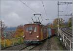 Die Berner Oberland Bahn (BOB) HGe 3/3 29 zeigt sich mit ihrem gemischten Zug im bereits recht herbstlichen Chamby.