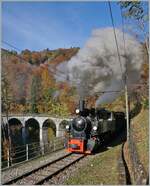 An der gleichen Stelle, aber zu einer anderen Jahreszeit: die G 2x 2/2 105 dampft zum Saison Abschluss durch die herbstliche Landschaft bei Vers chez Robert in Richtung Chamby.