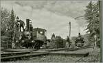 Die 1890 bei SAMC in Grafenstadt unter der Fabriknummer 4172 gebaute Lok LEB G 3/3 N° 5  Bercher  der Blonay-Chamby Bahn wird in Chaulin bekohlt im Hintergrund ist die SEG G 2x 2/2 105 der
