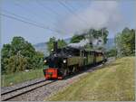 Die SEG G 2x 2/2 105 der Blonay Chamby Bahn ist kurz vor Chaulin auf der Fahrt in Richtung Chamby. 

29. Mai 2023