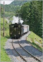 Festival Suisse de la vapeur (Schweizer Dampffestival 2025) - Kurz vor Chantemerle ist die BDF HG 3/4 N� 3 der Blonay Chamby Bahn mit ihrem Dampfzug auf dem Weg in Richtung Blonay. 

8. Juni 2025