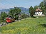 Der  den RhB Bernina Bahn ABe 4/4 I 35 der Blonay Chamby Bahn war mit zwei Personenwagen nach Blonay gefahren, kam aber f�r mich �berraschend solo zur�ck so dass der Triebwagen nun etwas verloren wirkt; daf�r gleitet der Blick �ber die herrliche Fr�h-Sommerweise, welche bei einem engeren Zuschnitt nicht den gleichen Effekt gezeigt h�tte. 

2. Mai  
