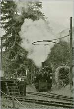 Die SEG G 2x 2/2 105 der Blonay Chamby Bahn f�hrt von der Behandlungsanlage bei eher garstigem Wetter in den Bahnhof von Chaulin Mus�e; durch den erw�hnten Wettereinfluss kommt die Dampfambiente auch heir weit mehr zur Geltung, als bei  sch�nem Wetter . 

10. Juni 2024