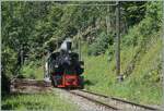 Die SEG G 2x 2/2 105 ist zwischen Chamby und Chaulin mit ihrem Dampfzug unterwegs. 

21. Juni 2026