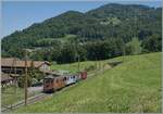 Festival Suisse de la vapeur / Schweizer Dampffestival 2026 - Die BOB HGe 3/3 29 (heute im Besizt der Blonay Chamby Bahn) ist mit drei bunten Reisezugwagen auf dem Weg von Blonay nach Chaulin und konnte kurz vor Cornaux fotografiert werden. 

25. Mai 2026