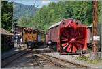 Festival Suisse de la vapeur / Schweizer Dampffestival 2026 -  Die Bernina Bahn Rhb Ge 4/4 81 der Blonay Chamby Bahn erreicht mit ihrem Museumszug den Bahnhof von Chaulin, gut dazu passt die Bernina