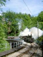 BC Museumsbahn DAMPFZUG 5625 von Vevey nach Weiche Chaulin am 19.05.1997 auf Baye le Clarens - Viadukt mit Dampflok-Doppeltraktion exLEB G 3/3 5 - exBAM G 3/3 6 - exCEG C 23 - exMOB C4 45 - exBOB C4