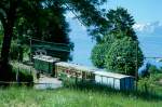 BC Museumsbahn Paradezug 51033 von Blonay nach Chamby am 24.05.1999 bei Cornaux mit Gepckriebwagen exCGTE Fe 4/4 151 - exCGTE C4 370 - exAL K 87.