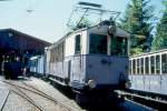 BC Museumsbahn Extrazug 10049 von Chaulin nach Chamby am 24.05.1999 im Depot Chaulin mit Triebwagen exLLB ABFe 2/4 10 - exLLB K 41 - exLLB L 60.