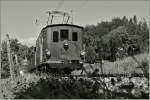  BERNE EN FETE  bei der Blonay Chamby Museumsbahn - die BOB HGe 3/3 N° 29, welche 1926 als letzte Lok den 1913/14 gelieferten an Vorgängerloks zur BOB kam, hat nun bei der B-C eine neuen Heimat gefunden. 
13. Sept. 2014 