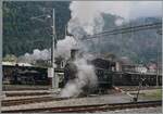 Mit der SBB Brünig Bahn Talbahnlok G 3/4 208 und der SBB Brünigbahn Berglok HG 3/3 1068 beteiligte sich die BDB Brünig Dampfbahn (ex Ballenberg Dampfbahn) tatkräftig am