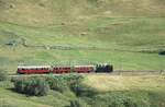 Zum Jubil�um 100 Jahre FO fuhr morgens ein Extrazug von Real nach Andermatt um die G�ste abzuholen. Hier zwischen Realp und Hospental am 04.07.2026 im alpinen Landwirtschaftsgebiet.