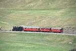 Zum Jubil�um 100 Jahre FO fuhr morgens ein Extrazug von Andermatt her um die G�ste abzuholen. Hier f�hrt der Zug am 04.07.2026 zwischen Realp und Hospental durch das alpine Grasland. Neben den Geleisen weiden auch K�he, wo es geht, wird Heu geerntet.