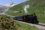 Berge, blauer Himmel, blhende Alpenrosen und mittendrin eine Dampfzahnradbahn.