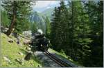 Gemtlich fhrt der Zug 131 hinunter ins Tal nach Oberwald.