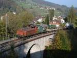 Die Ee 3/3 16318  Halbschuh  des Vereins Historische Mittelthurgaubahn (ex SBB) am 14. Oktober 2007 anlässlich des DVZO-Fahrzeugtreffens mit einem historischen Güterzug Richtung Hinwil, hier oberhalb Bauma.