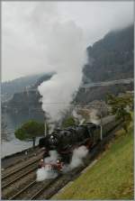 Nach dem kurzen Signalhalt war dann die Anfahrt der  Pacific  01 202 ein ganz besonderer Genuss!  Bei Villeneuve, 18.