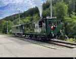 SBB - Dampftriebwagen CZm 1/2  31 zu Besuch bei der ZMB in Sihlwald am 26.06.2022