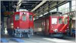 DZeh 2/4 22 und ABDeh 2/4 23 im neuen Depot in Heiden. (17.06.2009)