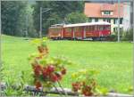 ABDeh 2/4 23 und Bt 31 mit den Johannisbeeren meiner Mutter in Heiden. (18.07.2009)