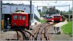 Fahrzeugparade in Heiden ABDeh 2/4 23, BDeh 3/6 25 und ABDeh 2/4 24.