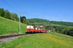 ABDeh 2/4 Nr. 23 mit 4 Zusatzwagen bei der Fahrt von Heiden Richtung Rorschach, 05.05.2014.