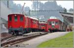 DZeh 2/4 22 mit AB13, ABDeh 2/4 23, Velowageb B9 und Sommerwagen in Heiden.