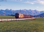 TPF/GFM: Im Jahre 2005 waren die ABe 4/4 noch mit neuem und altem Anstrich unterwegs. Der Güterzug wurde in der Gegend von Vaulruz verewigt.
Foto: Walter Ruetsch 