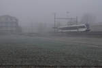 Thurbo: Die GTW aus dem Hause Stadler Rail von Thurbo und SBB machen bei dichtem Nebel sowie bei Sonne eine gute Figur.