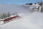 Kurz nach der Durchfahrt des Dampfzuges schwabt eine Nebelschwade über die Fotostelle, in welche der RB BDhe 4/4 N° 21  Beeri  mit seinen Steuerwagen gleich eintauchen wird.
Rigi Staffel, den 24. Feb. 2018