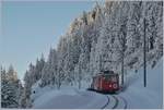 Der RB BDhe 2/4 N° 2 fährt zwischen Rigi Staffel und Staffelhöhe talwärts; von SLM/BBC 1937 gebaut, betrug der Anschaffungspreis des Triebwagens damals Fr 105'106.85.