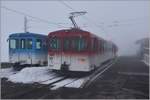 Bt23 (ARB) und Bt32 (VRB) in Rigi Kulm.