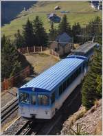 Zwei Blaue auf der Rigi.