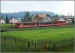 Unmittelbar nach dem Altsttter Zug folgt auf dem Nebengleis die S11 Nr 252 aus Appenzell nach St.Gallen. (12.06.2008)
