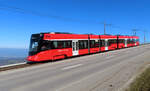 Regionalzug von Trogen nach St. Gallen mit toller Aussicht zwischen den Stationen Vögelinsegg und Schwarzer Bären. Vögelinsegg, 2.3.2021