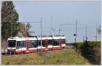 S12 Triebwagen 31 bei Vgelinsegg.(24.03.2011)