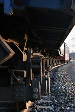 ASM BTI Aare Seeland mobil AG Biel-Täuffelen-Ins-Bahn: Fa 574 + Fa 575 + Fa 573 + Be 4/4 525, Kippseite, Siselen, 10.