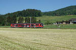 ASm: BAHN- ODER KUHBILD?
Obschon sich auf dieser Aufnahme, entstanden am 8. Mai 2018 bei Wiedlisbach, die weidenden Kühe in der Mehrzahl befinden, habe ich mich für ein Bahnbild entschieden.
STAR Be 4/8 111  JUPITER  auf der Fahrt nach Solothurn.
Foto: Walter Ruetsch 