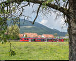 ASm am 2. August 2019. STAR Be 4/8 113 bei der Ausfahrt Niederbipp Richtung Solothurn.